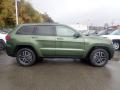  2021 Jeep Grand Cherokee Green Metallic #4
