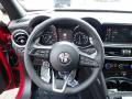 2020 Alfa Romeo Stelvio TI Sport Carbon AWD Steering Wheel #17