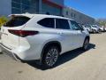 2021 Highlander Platinum AWD #14