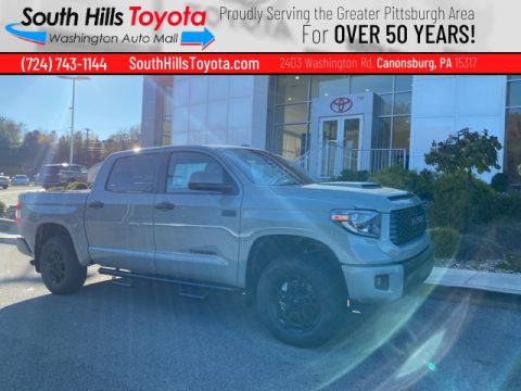 Lunar Rock Toyota Tundra TRD Pro CrewMax 4x4. Click to enlarge. Lunar Rock Toyota Tundra TRD Pro CrewMax 4x4. Click to enlarge.