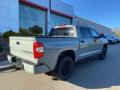 2021 Tundra TRD Pro CrewMax 4x4 #16 2021 Tundra TRD Pro CrewMax 4x4 #16