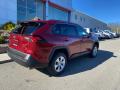 2021 RAV4 LE AWD #14