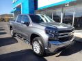 2021 Chevrolet Silverado 1500 Silver Ice Metallic #3 2021 Chevrolet Silverado 1500 Silver Ice Metallic #3