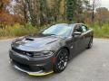 2020 Charger Scat Pack #2