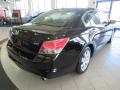 2010 Accord EX-L V6 Sedan #7