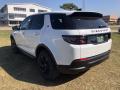 2020 Discovery Sport Standard #13
