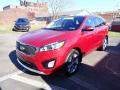 2018 Sorento SX AWD #5