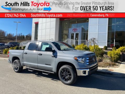 Cement Toyota Tundra SR5 CrewMax 4x4.  Click to enlarge.