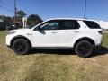 2020 Discovery Sport Standard #7
