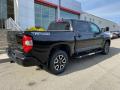 2021 Tundra SR5 CrewMax 4x4 #13