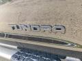 2021 Tundra SR5 CrewMax 4x4 #24