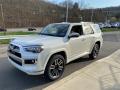 Front 3/4 View of 2021 Toyota 4Runner Limited 4x4 #13