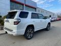 2021 4Runner Limited 4x4 #14