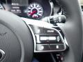 2021 Seltos SX Turbo AWD #19