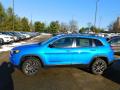 2021 Cherokee Latitude Lux 4x4 #9 2021 Cherokee Latitude Lux 4x4 #9