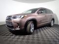 2017 Highlander Limited AWD #8