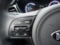  2020 Kia Niro LXS Hybrid Steering Wheel #17