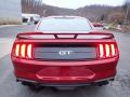 2019 Mustang GT Premium Fastback #3