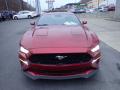 2019 Mustang GT Premium Fastback #7