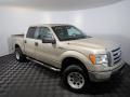 2010 F150 XLT SuperCrew 4x4 #2