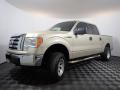2010 F150 XLT SuperCrew 4x4 #7
