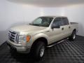 2010 F150 XLT SuperCrew 4x4 #8