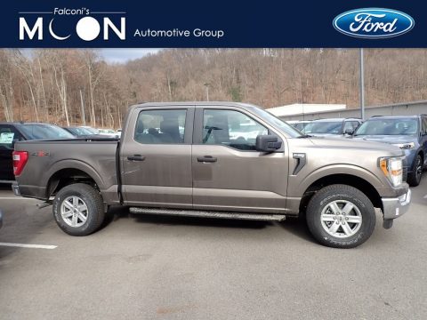 Stone Gray Ford F150 STX SuperCrew 4x4.  Click to enlarge.