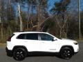 2021 Cherokee Altitude 4x4 #5