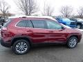 2021 Cherokee Latitude Lux 4x4 #4 2021 Cherokee Latitude Lux 4x4 #4