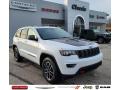 2021 Grand Cherokee Trailhawk 4x4 #1