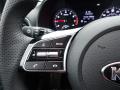  2021 Kia Forte GT-Line Steering Wheel #18