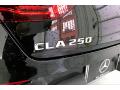 2020 CLA 250 Coupe #31