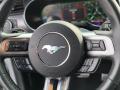 2019 Mustang EcoBoost Premium Fastback #15