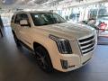 2015 Escalade Luxury #3 2015 Escalade Luxury #3