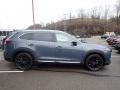  2021 Mazda CX-9 Polymetal Gray #1