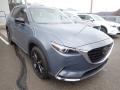 2021 CX-9 Carbon Edition AWD #3