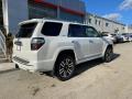 2021 4Runner Limited 4x4 #14 2021 4Runner Limited 4x4 #14