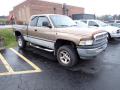 Front 3/4 View of 2000 Dodge Ram 1500 SLT Extended Cab 4x4 #2