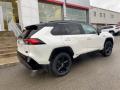 2021 Toyota RAV4 Blizzard White Pearl #13 2021 Toyota RAV4 Blizzard White Pearl #13