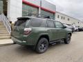 2021 4Runner Trail Special Edition 4x4 #13
