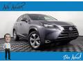 2017 NX 300h AWD #1 2017 NX 300h AWD #1