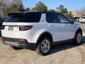 2020 Discovery Sport Standard #3