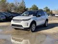 2020 Discovery Sport Standard #22