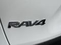 2021 RAV4 LE AWD #22