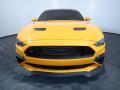 2019 Mustang GT Premium Fastback #6