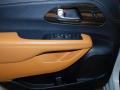 Door Panel of 2021 Chrysler Pacifica Pinnacle AWD #15
