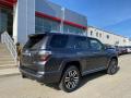 2021 4Runner Limited 4x4 #14
