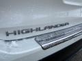 2021 Highlander Limited AWD #26