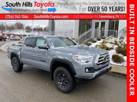 Cement Toyota Tacoma SR5 Double Cab 4x4.  Click to enlarge.