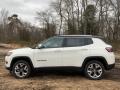 2021 Compass Limited 4x4 #4